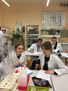 Zajecia laboratoryjne z chemii 